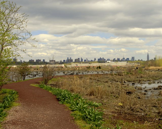 Mill Creek Marsh NYC Skyline