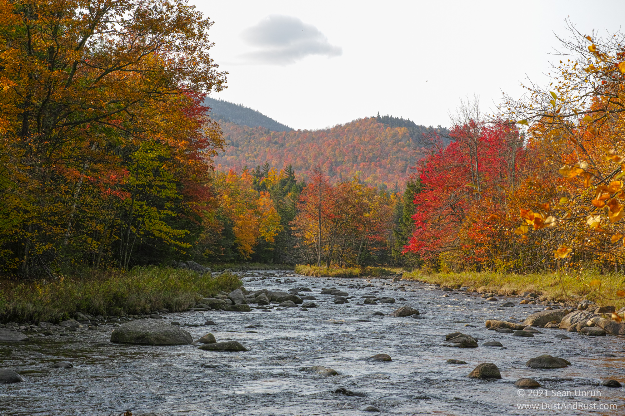 Fall Folliage